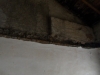sam_7165